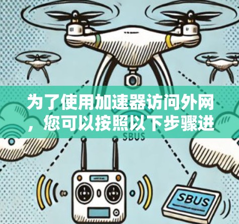 为了使用加速器访问外网，您可以按照以下步骤进行操作