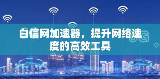 白信网加速器,提升网络速度的高效工具 白信网加速器,提升网络速度的高效工具